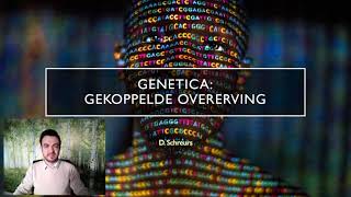 Genetica gekoppelde overerving [upl. by Annabal]