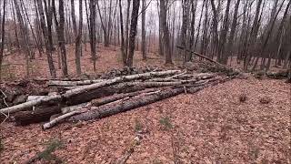 ⛺MAINE CAMP TUCKED IN THE WOODS WITH 10x20 SHED BEAUTIFUL LAND [upl. by Aznaed]