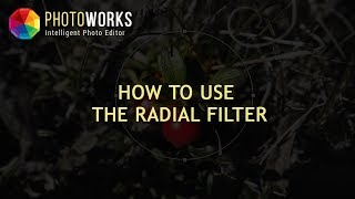 How to Use the Radial Filter in PhotoWorks [upl. by Willdon393]