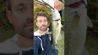 Fishing at Wampum Lake 🎣 fishing fishinglife fishingvideo fishingtrip bass [upl. by Eiralav]