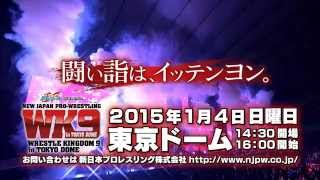 Buddyfight presents WRESTLE KINGDOM9 TVCM [upl. by Naget]