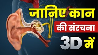 Inside the Ear Canal  Ear Anatomy  कान की संरचना  जानिए कान कैसे सुनता हैं 3D Animation 🤩 [upl. by Jackquelin]