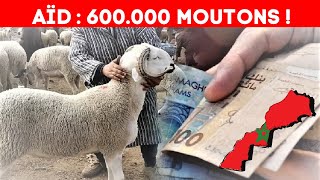 Aïd AlAdha 2024  Le Maroc Importe 600000 Moutons [upl. by Plantagenet]