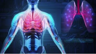 maturation of lungs 🫁  development of respiratory system part 6 [upl. by Dnalyaw862]