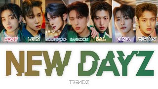 TRENDZ트렌드지  NEW DAYZ Color Coded Lyrics hanromeng [upl. by Einneg]