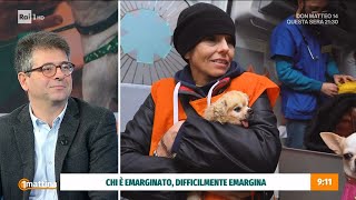 Ambulatorio veterinario sociale  Unomattina 21112024 [upl. by Atekin]