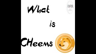 What is Cheems  Solana 1st memecoin [upl. by Tess]