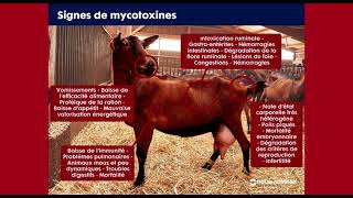 Oh la Chèvre 2 Les Mycotoxines Impactent Plusieurs Organes et Tissus [upl. by Coates78]