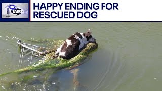 Saved Frightened pooch rescued from fast flowing canal l FOX 10 Talks [upl. by Tnaryb]