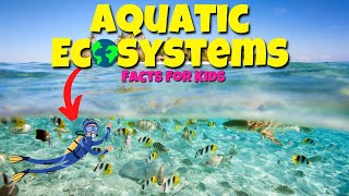 Top Facts About AQUATIC Ecosystems 🐟 🐋 Educational Lessons for Kids [upl. by Benedick724]