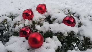 🎅🏻❄️ Weiße Weihnacht im Schwarzwald  Weihnachtsgrüße  Weihnachtswünsche  Grußvideo Live [upl. by Heid]