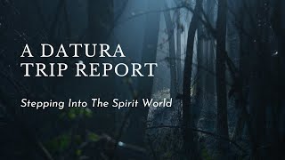 A Datura Trip Report  Stepping Into The Spirit World [upl. by Ybot]