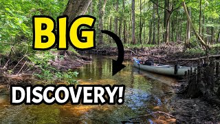 MASSIVE Discovery While Fossil Hunting amp Rockhounding in a Beautiful Florida River [upl. by Anaek]