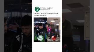 PALMEIRAS X FLAMENGO NA COPA DO BRASIL [upl. by Zuzana]