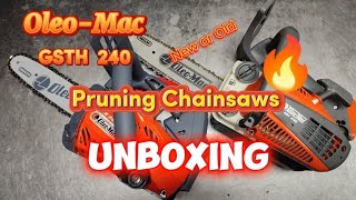 Unboxing  Small chainsaw from Italian  OleoMac GSTH 240 VS GST 250 chainsaw [upl. by Galatia]