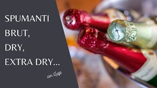 Spumanti Brut Dry Extra Dry [upl. by Dorothi538]