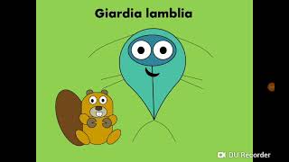 Giardia lamblia Intestinal flagellate داء الجيارديات [upl. by Aicilla]