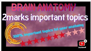 1st year Brain Anatomy important questions 2marks [upl. by Nosirrag]