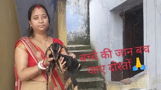 😢😢 बच्चे की जान बच जाए दोस्तों 🙏  Video के अन्त में दिखेगा दोस्तों bacche ki jaan jaye doston [upl. by Egidio]