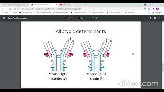 Isotype allotype idiotype بالعربي [upl. by Oringas375]