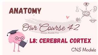 L8 Anatomy Cerebral cortex CNS42🥳 [upl. by Scrivings]