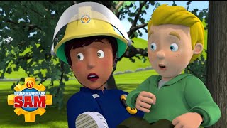 Ellie rettet James und die kleinen Kadetten  Feuerwehrmann Sam  NEUE EPISODE  Cartoons für Kinder [upl. by Sessilu]