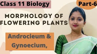 Morphology of Flowering Plants  Androecium  Gynoecium  Part6 [upl. by Nibas]