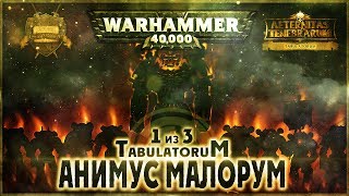 Анимус Малорум 1 из 3  Liber Tabulatorum AofT Warhammer 40000 [upl. by Elocin]