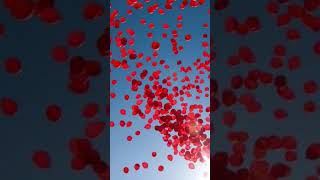 Nena 99 Luftballons [upl. by Roseann]