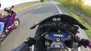 zx12r vs Hayabusa Rematch 2 [upl. by Joel]