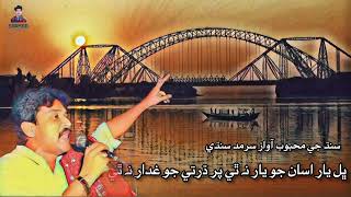 Dharti Jo Gadar Na Thi Sarmad Sindhi Inqalabi Song Beautiful Voice [upl. by Pampuch608]