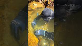 Amazing GOLD Found With Dredge [upl. by Hogan]