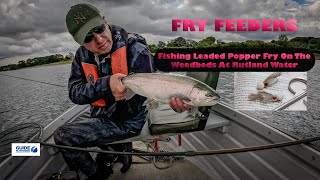 Fry Feeders Fishing With Leaded Popper Fry On Rutland Water [upl. by Viola436]