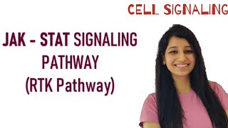 JAKSTAT Signaling PathwayRTK pathwayReceptor Protein Tyrosine Kinase cell signalingCsirnetgate [upl. by Steere745]