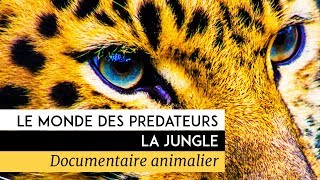 Le monde des prédateurs  La Jungle [upl. by Aliahs191]