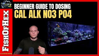 New To Dosing A Reef Tank Watch This First  CAL ALK NO3 amp PO4 [upl. by Harleigh]