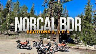 NorCal BDR Sections 234  KTM 890 Adventure’s [upl. by Aket755]