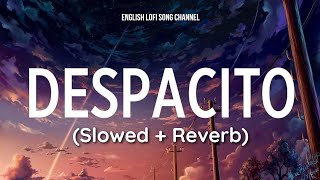 Despacito Slowed  Reverb  Luis Fonsi  Daddy Yankee ft Justin Bieber  English Lofi Song [upl. by Ellennej]