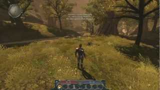 Guia Divinity 2 Ego Draconis Todo el recorrido PARTE 1 Español [upl. by Flagler691]