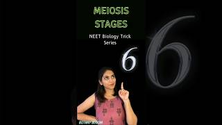 Meiosis stages📝  Cell cycle and cell Division shorts neet ytshorts [upl. by Wren]