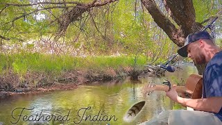 Feathered Indian  Tyler Childers cover [upl. by Phyllida152]