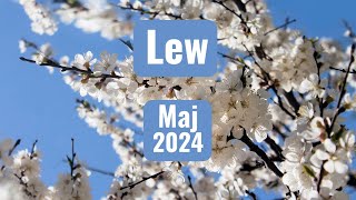 Lew  horoskop maj 2024 [upl. by Ludlow]