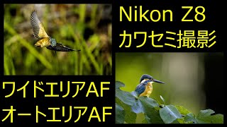 Nikon Z8 カワセミ撮影 ワイドエリアAF オートエリアAF 検証 [upl. by Baal764]