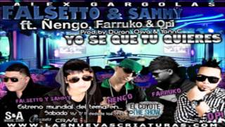 Yo Se Que Tu Quieres Remix  Falsetto amp Sammy Ft Ñengo Farruko amp Opi ★HoyMusicCom★ [upl. by Enajiram]