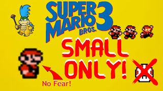 Super Mario 3 SMALL ONLY Pt 5 [upl. by Standish]