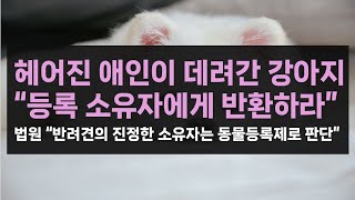 민사 헤어진 전 애인이 데려간 포메라니안법원 quot반려견 등록 소유자에게 인도하라quot 동물보호법 동물등록제 반려견 유체동산인도청구 [upl. by Auqinimod695]