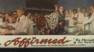 Instant Classic 1978 Belmont Stakes [upl. by Aniweta]