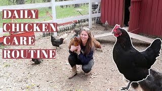 DAILY CHICKEN CARE ROUTINE  Raising Backyard Poultry  Hobby Farm Homestead  Egg Laying Hens [upl. by Nilkoorb]