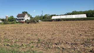 20241005 Amish corn cutting 2 [upl. by Irtimed]