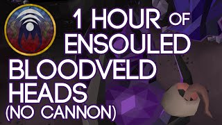 1 Hour of Ensouled Bloodveld Heads no cannon [upl. by Akeenahs]